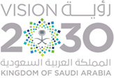vision-2030